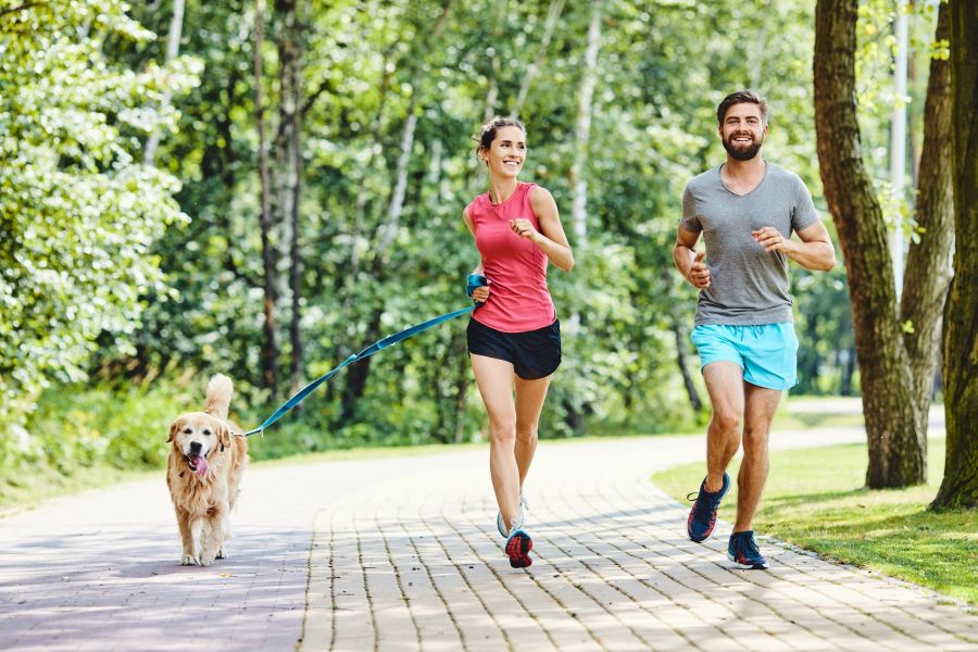 A woman and man are jogging with a happy golden retriever on a park path lined with trees.