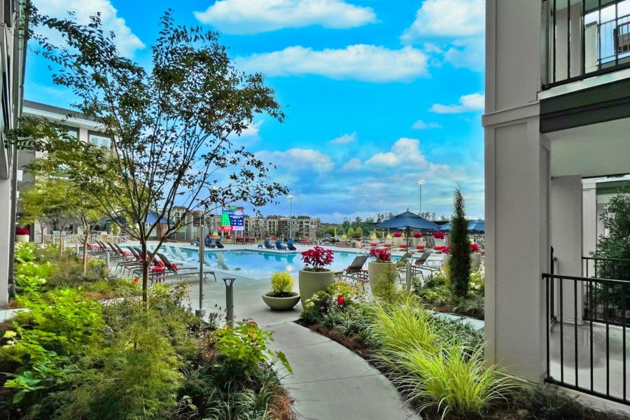 Pathway lined with plants leading to a pool with lounge chairs under a bright blue sky at The Fieldhouse Apartments.