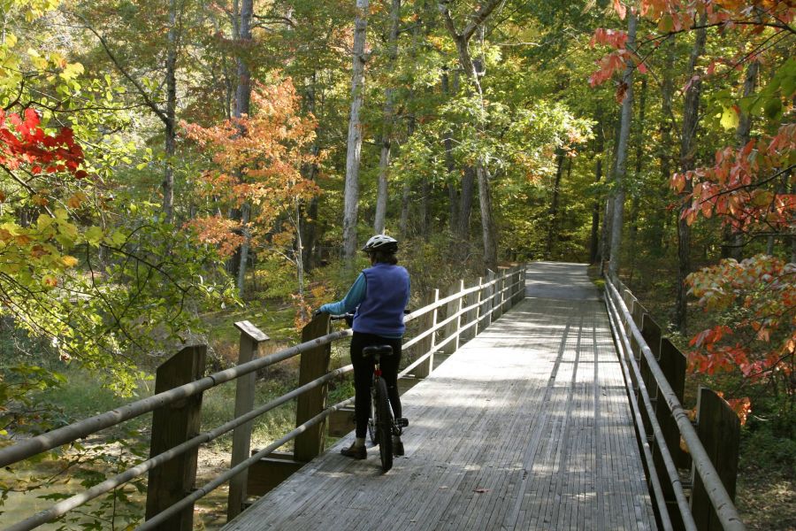 A person on a bicycle rides across a wooden bridge surrounded by colorful autumn trees.